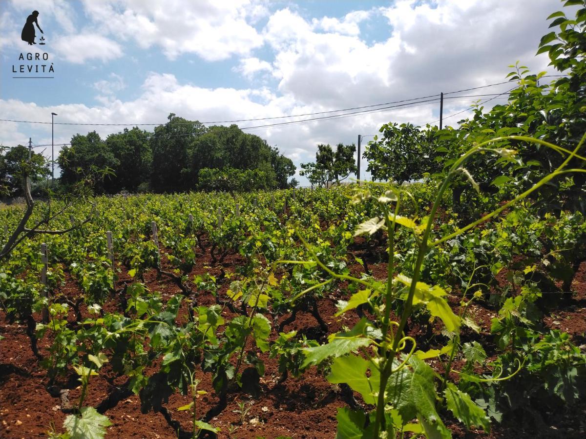 Agro Levita Locorotondo Exterior photo